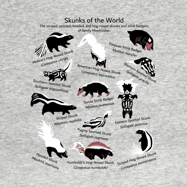 Skunks of the World: Species of Mephitidae by ELMayer